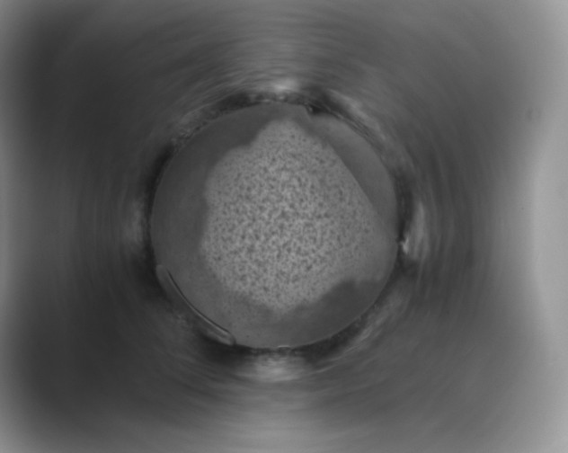 X0000089690708200707051625