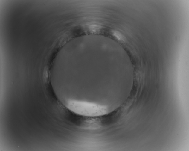 X0000089690709200707051625