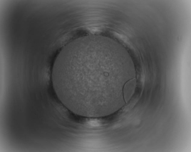 X0000089690710200707051625