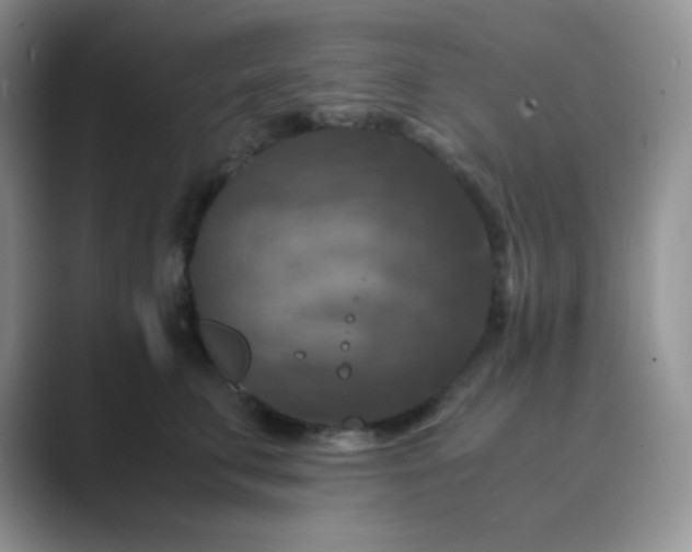 X0000089690711200707051625