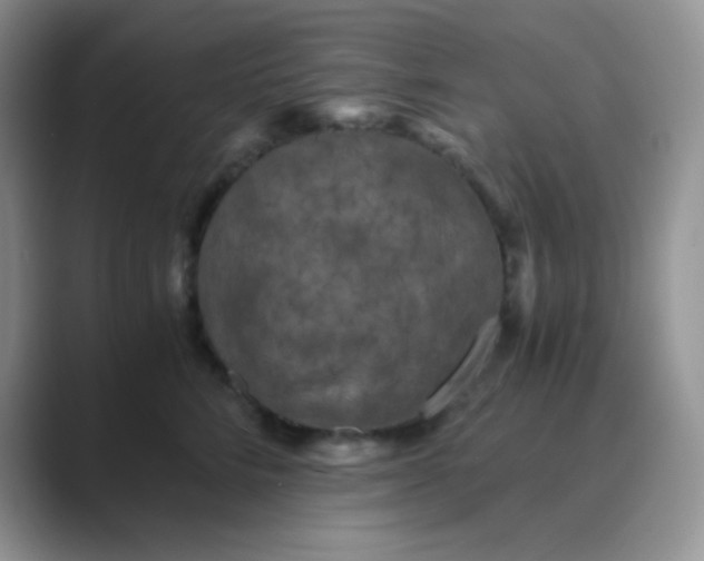 X0000089690712200707051625