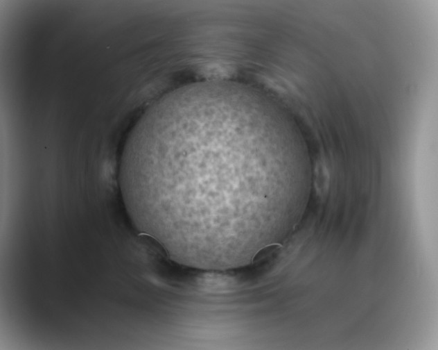 X0000089690714200707051625