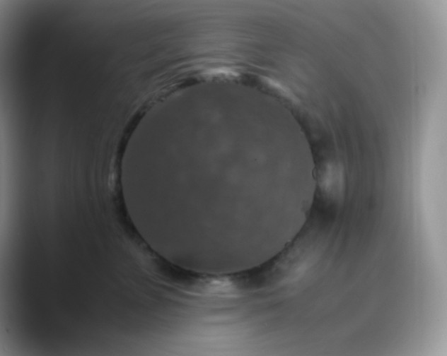 X0000089690715200707051625