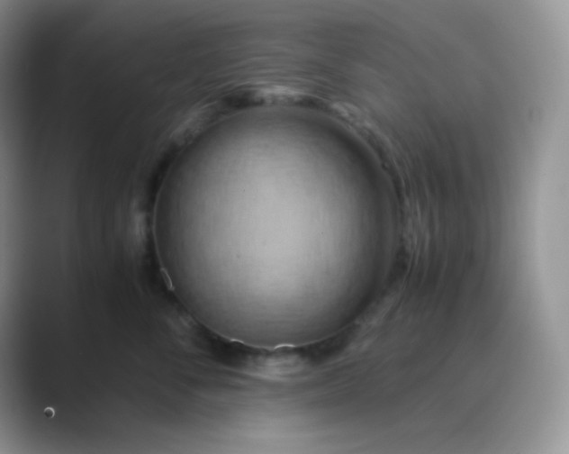 X0000089690716200707051625