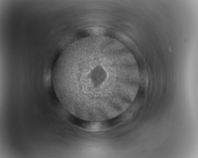 X0000089690717200707051625