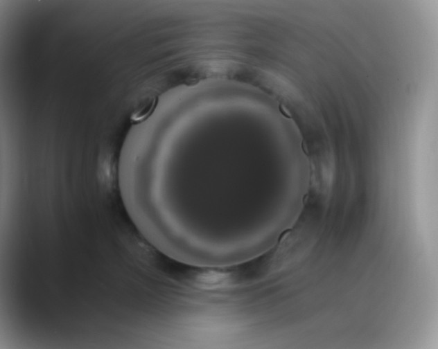 X0000089690718200707051625