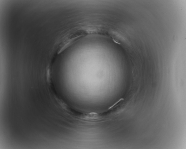 X0000089690720200707051625