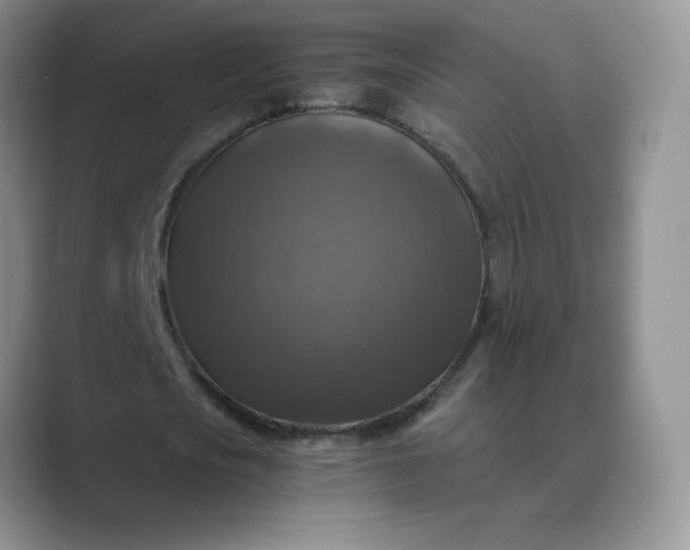 X0000089690721200707051624