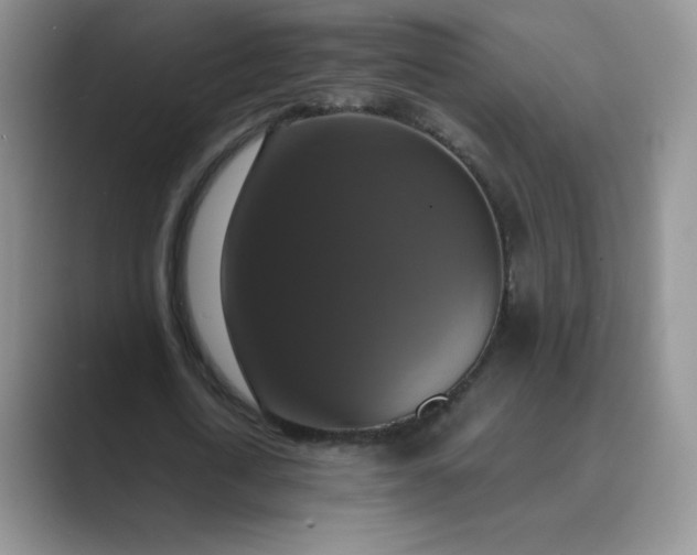 X0000089690722200707051624