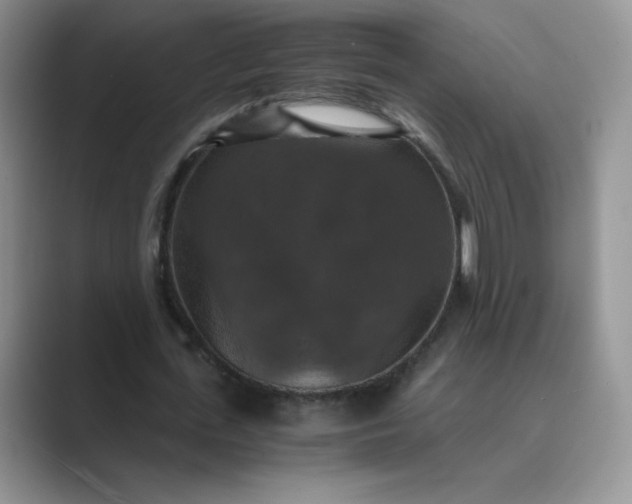 X0000089690723200707051624