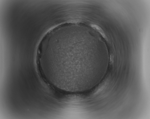 X0000089690724200707051624