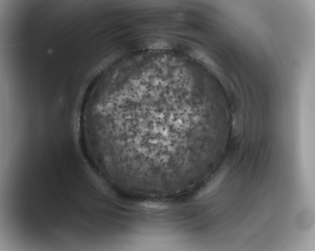 X0000089690725200707051624