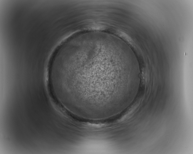 X0000089690726200707051624