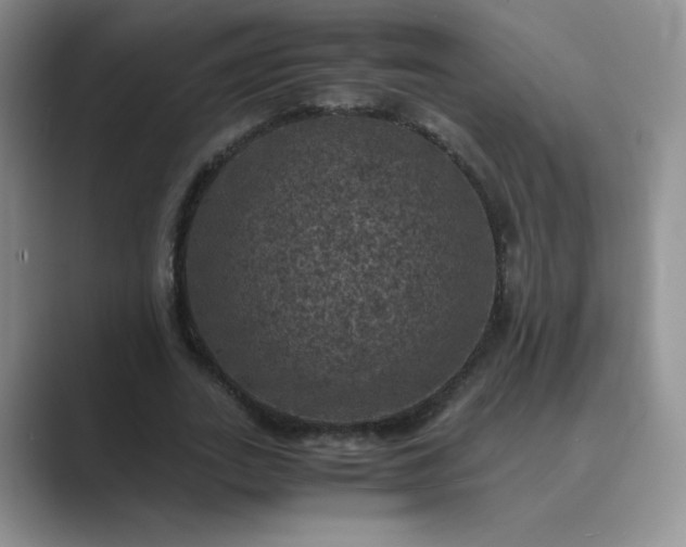 X0000089690727200707051624