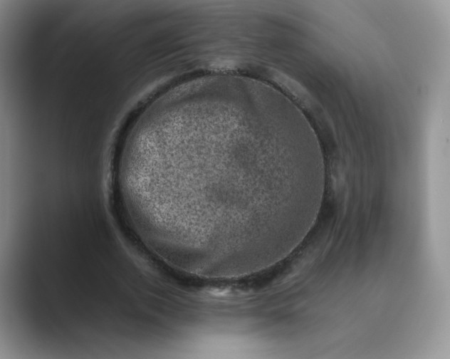 X0000089690728200707051624