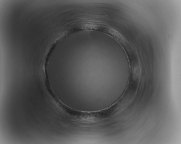 X0000089690729200707051624