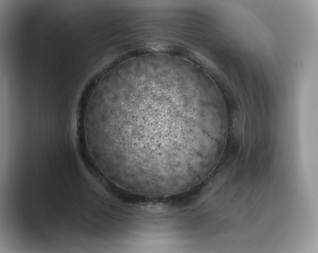 X0000089690730200707051624