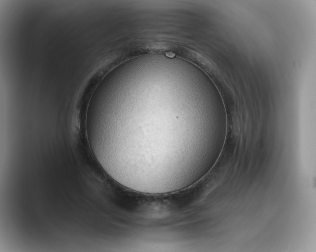 X0000089690731200707051624