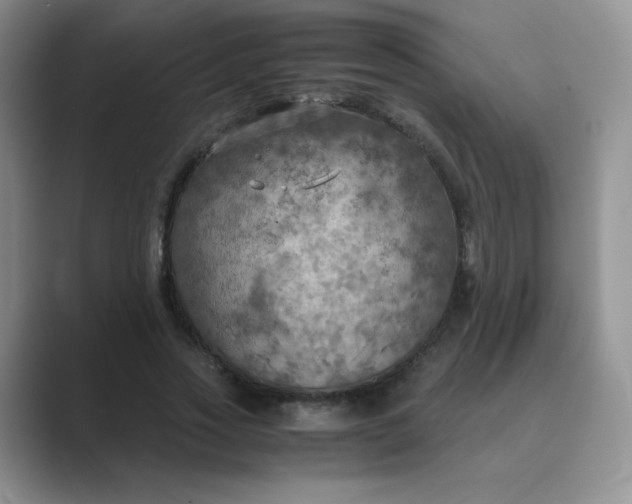 X0000089690733200707051624