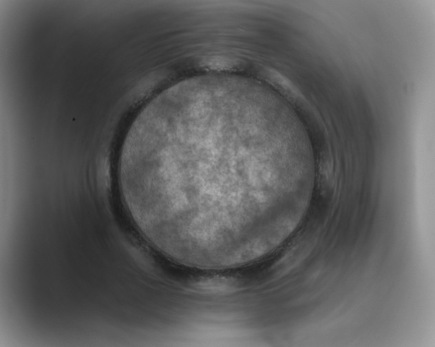 X0000089690734200707051624