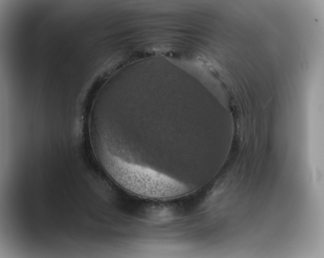 X0000089690735200707051624