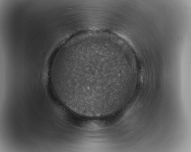 X0000089690736200707051624