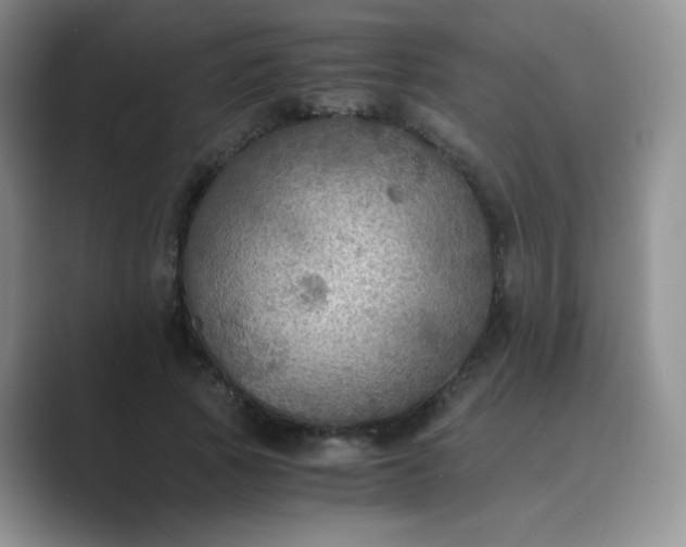 X0000089690737200707051624