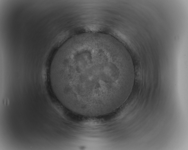 X0000089690738200707051624