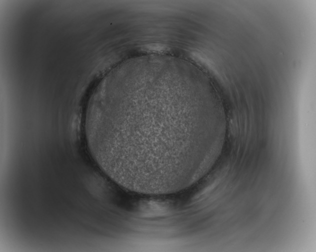 X0000089690739200707051624