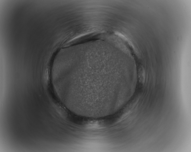 X0000089690740200707051624