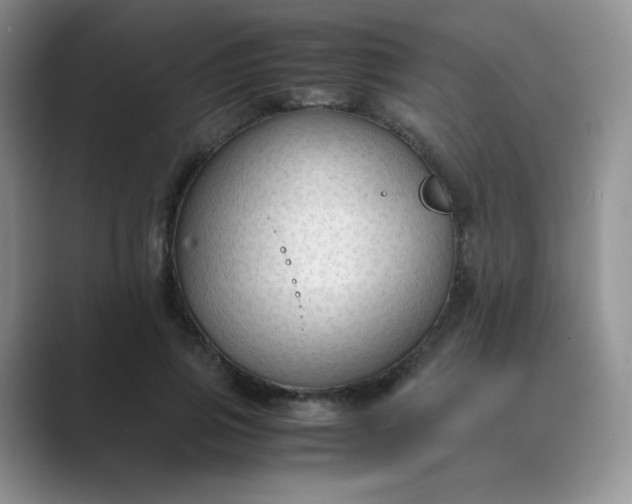 X0000089690741200707051624