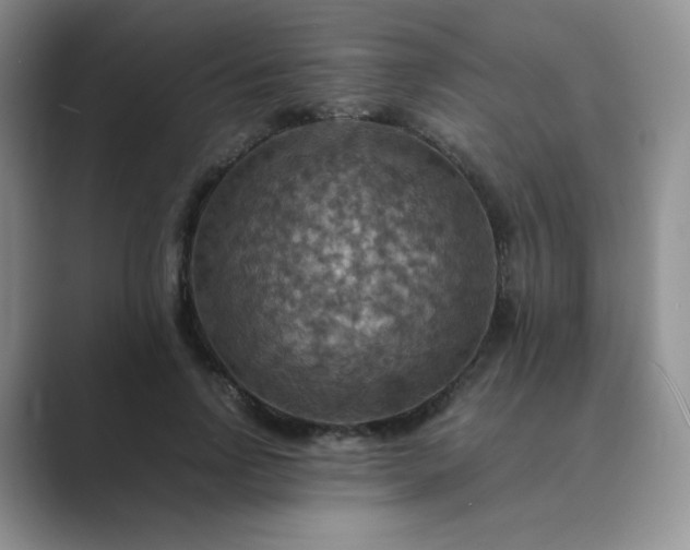 X0000089690742200707051624