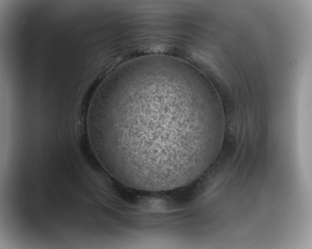 X0000089690743200707051624