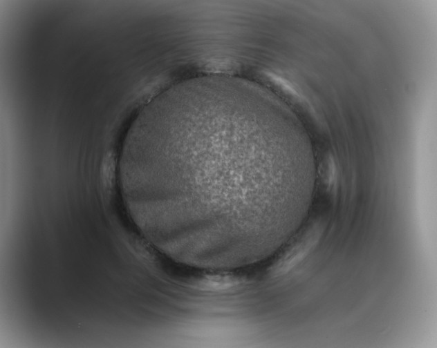 X0000089690744200707051624