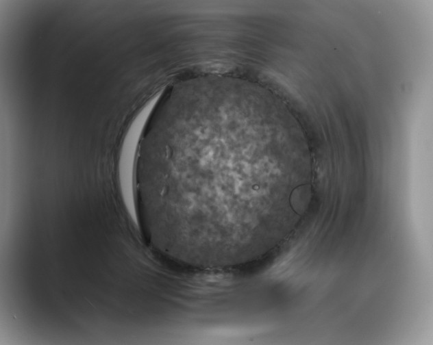 X0000089690745200707051624