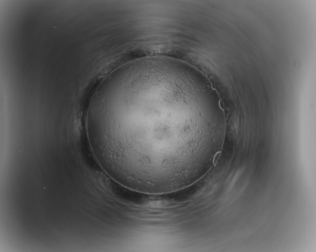 X0000089690746200707051624