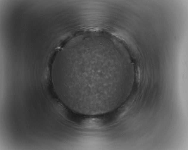 X0000089690748200707051624