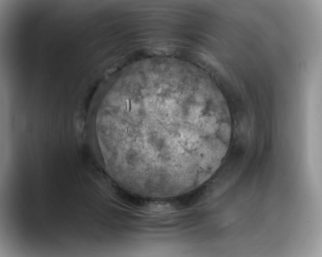 X0000089690749200707051624