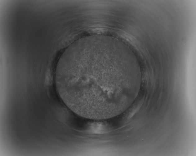 X0000089690751200707051624