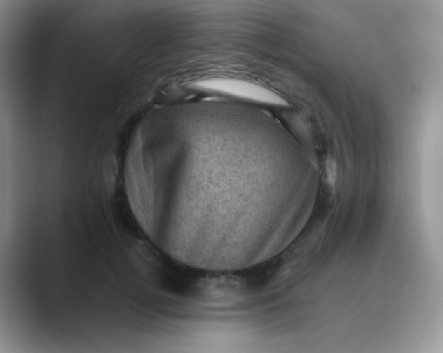 X0000089690752200707051624