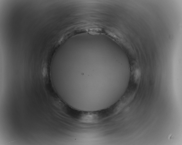 X0000089690754200707051624