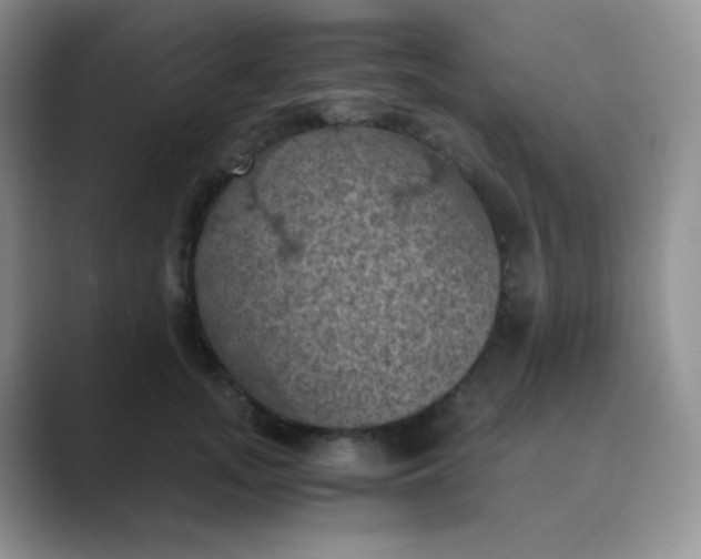 X0000089690755200707051624