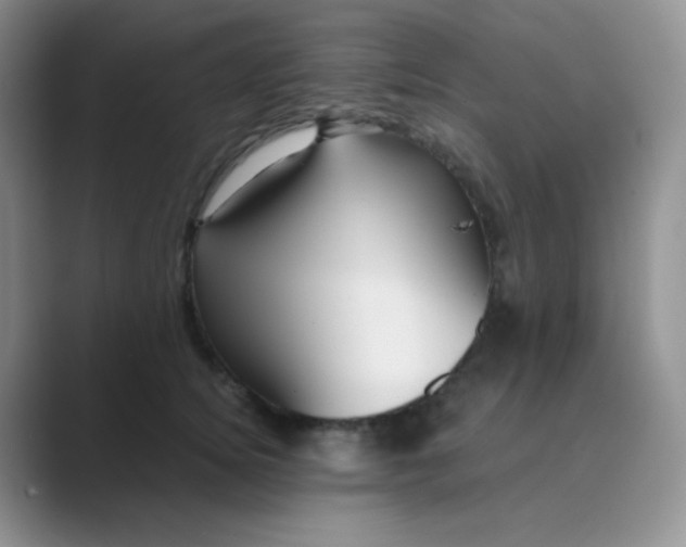 X0000089690756200707051624