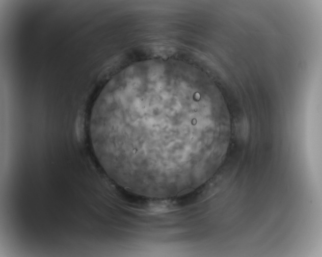 X0000089690757200707051624