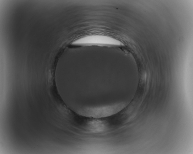 X0000089690759200707051624