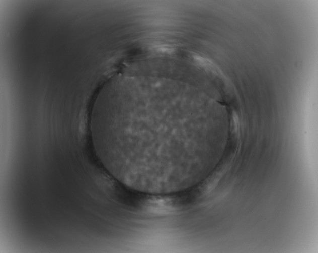 X0000089690760200707051624