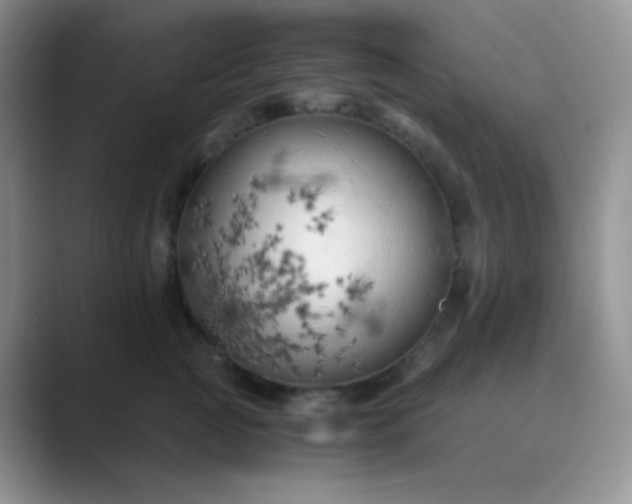 X0000089690761200707051624