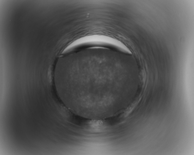 X0000089690762200707051624