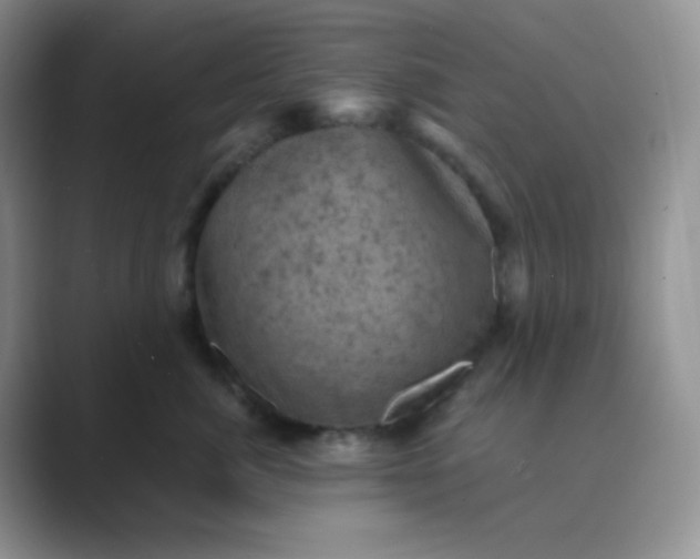 X0000089690764200707051625