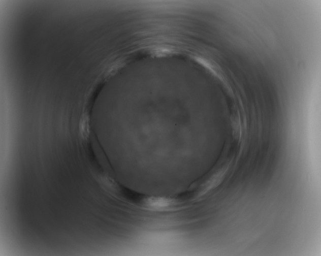 X0000089690766200707051625